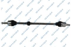 GSP 256764 — Planetară