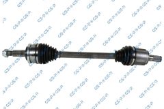 GSP 256765 — Planetară
