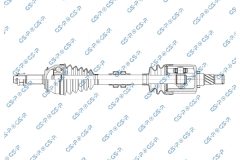 GSP 256791 — Planetară