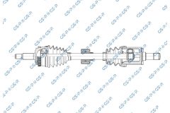 GSP 256815 — Planetară