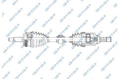 GSP 256816 — Planetară