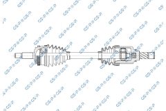 GSP 256817 — Planetară