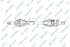 GSP 256972 — Planetară