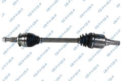 GSP 257280 — Planetară