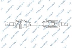 GSP 257294 — Planetară