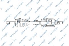 GSP 257378 — Planetară