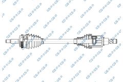 GSP 257456 — Planetară