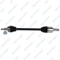 GSP 257675 — Planetară