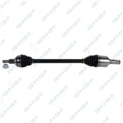 GSP 257676 — Planetară