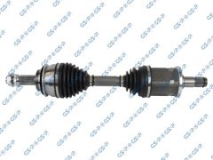 GSP 259715 — Planetară