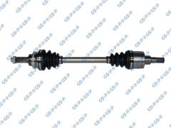 GSP 299184 — Planetară