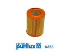 PURFLUX A863 — Filtru de aer