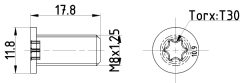 TEXTAR TPM0013 — Șurub fixare disc de frână