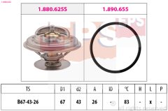 EPS 1.880.625 — Термостат