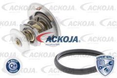 ACKOJA DVSE A38-99-0001 — Термостат