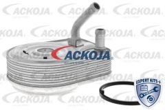 ACKOJA DVSE A52-60-0008 — Масляный радиатор