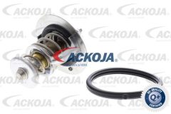 ACKOJA DVSE A52-99-0019 — Термостат