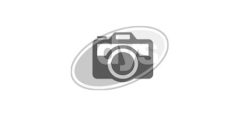 DYS 20-32687 — Braț suspensie
