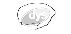 DYS 78-11977 — Топливный шланг