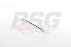 BSG BSG 30-976-010 — Лента крепления полки багажника