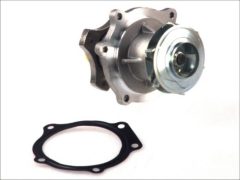 THERMOTEC D1Y033TT — Pompă de apă