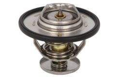 THERMOTEC D2Y003TT — Термостат