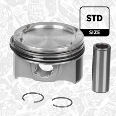 ET ENGINETEAM PM014500 — Piston motor