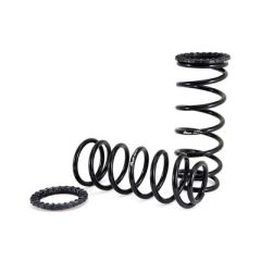 Arnott C-2410 — Set arcuri suspensie