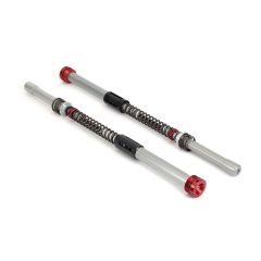 Arnott MJ-3960 — Set cartușe furcă moto