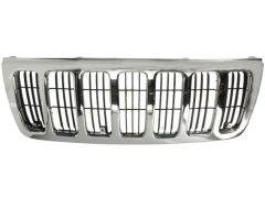 BLIC 5601003204994P — Grilă radiator