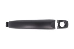 BLIC 601001056401P — Ручка двери наружная