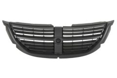 BLIC 6502070913992P — Grilă radiator