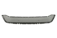 BLIC 6502070926997P — Grilă radiator