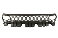 BLIC 6502070932990SP — Grilă radiator