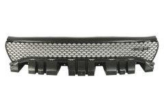 BLIC 6502070932997P — Grilă radiator
