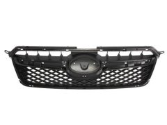 BLIC 6502076735994P — Grilă radiator