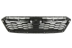 BLIC 6502076747990P — Grilă radiator