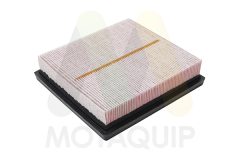 MOTAQUIP LVFA1714 — Filtru de aer