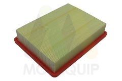 MOTAQUIP LVFA1769 — Filtru de aer