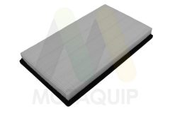 MOTAQUIP LVFA1773 — Фильтр воздушный