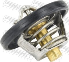 FEBEST 21462-003 — Термостат