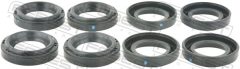 FEBEST HCP-007-PCS8 — Inel etanșare locaș bujie