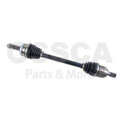 OSSCA 170993 — Planetară