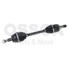 OSSCA 173370 — Planetară