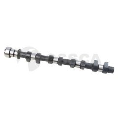 OSSCA 28580 — Ax cu came