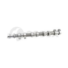 OSSCA 44529 — Ax cu came