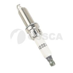 OSSCA 56163 — Bujie