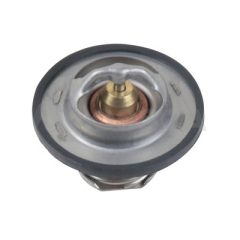 OSSCA 64593 — Termostat lichid răcire
