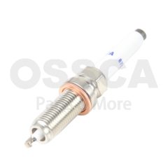 OSSCA 87557 — Bujie