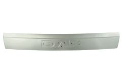 PACOL DAF-FP-019 — Решётка радиатора